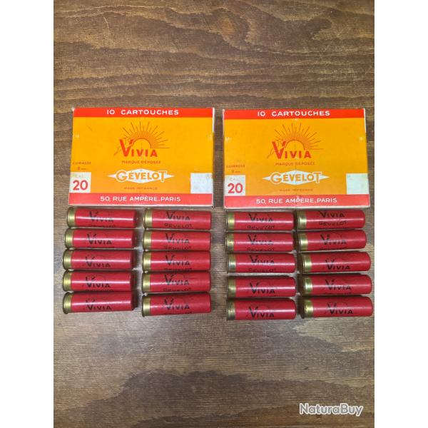 Cartouches de Chasse calibre 20 en carton