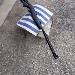 carabine &agrave; plombs moins de 20 joules