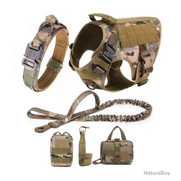 Ensemble Harnais, Collier, Laisse, Pochette CAMO Taille au Choix S, M, L ou XL