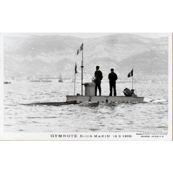 Carte postale Photographie sous-marin Gymnote -N�8103