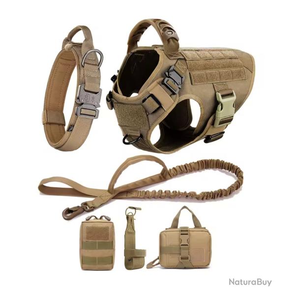 Ensemble Harnais, Collier, Laisse, Pochette Coyotte Taille au Choix S, M, L ou XL