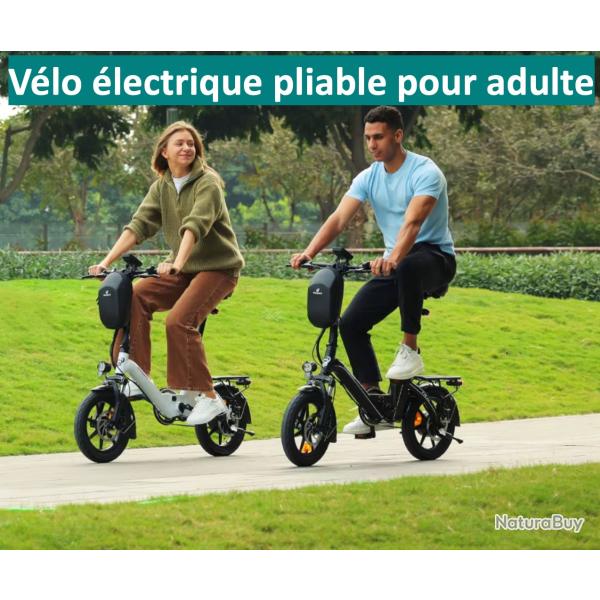 V�lo �lectrique pliable pour adulte, 14 pouces, batterie 36 V 10,4 Ah, moteur 250 W, vitesse maxi 25