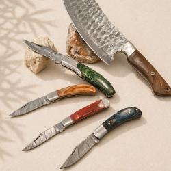 LO03 - Lot 5 couteaux cuisine & barbecue - finition soign&eacute;e - manches bois -