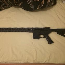 carabine ar15 categorie c