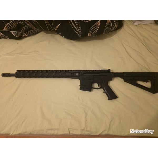 carabine ar15 categorie c