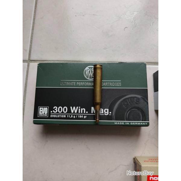 Lot Cartouches manufactur�es 300WM 180 grains de chasse de diff�rentes marques.