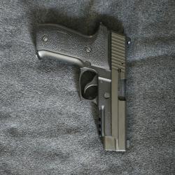 P226 GBB Sig Proforce