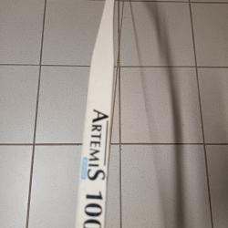 Arc debutant