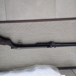 carabine a air comprim&eacute;  BSA  air rifle vintage