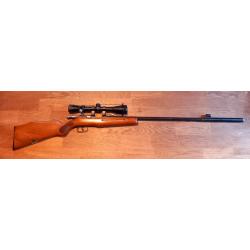 Carabine 22LR Manu Arm avec lunette 3-9&times;40 avec silencieux AGP