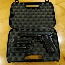 Sig sauer 1911