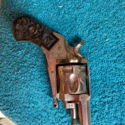Revolver bulldog. Puppy