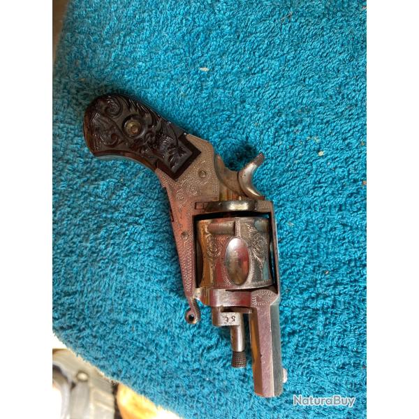 Revolver bulldog. Puppy