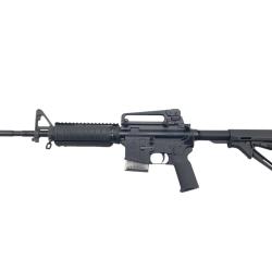 CARABINE BUSHMASTER CUSTOM AR-15 223 REM