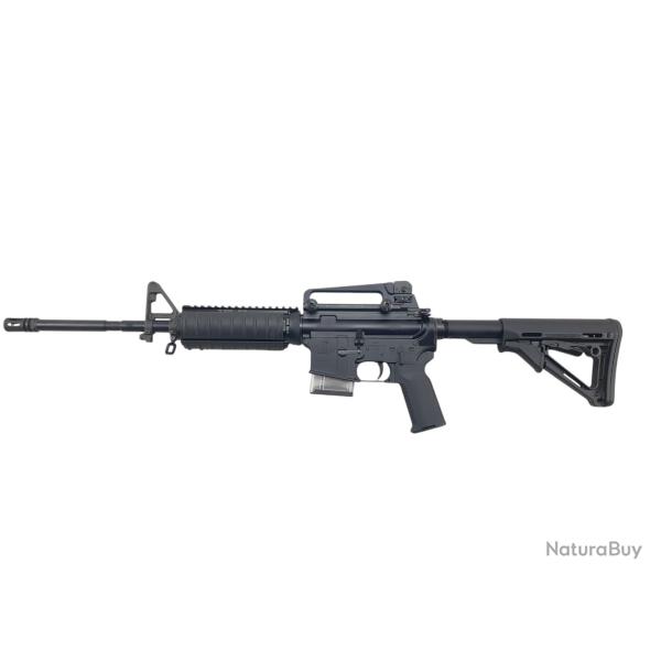 CARABINE BUSHMASTER CUSTOM AR-15 223 REM
