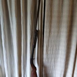 Carabine &agrave;  plombs