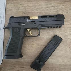 Sigsauer p320 spectre