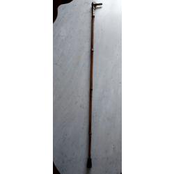 CANNE &Eacute;P&Eacute;E F&Eacute;MININE