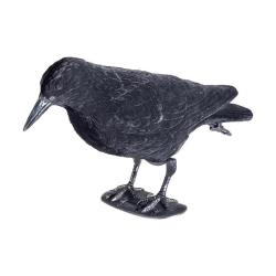 Corbeau floqu&eacute;
