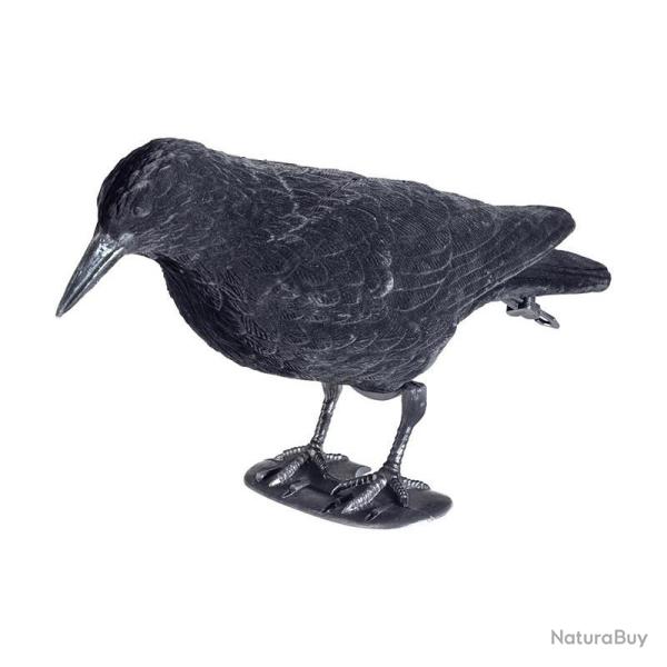 Corbeau floqu�