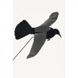 Corbeau Step-Flap