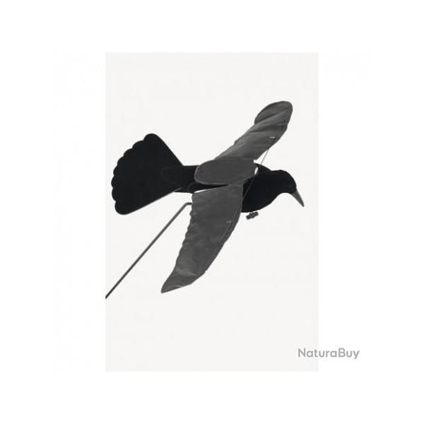 Corbeau Step-Flap