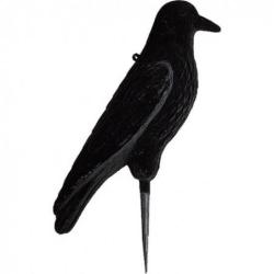 Grand Corbeau floqu&eacute; sur pique