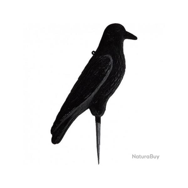 Grand Corbeau floqu� sur pique