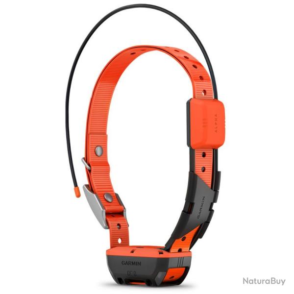 Collier de rep�rage /GPS pour chien Alpha� T 20 F