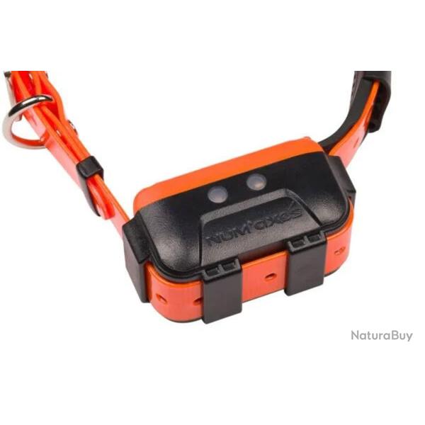 Collier de localisation suppl�mentaire CANICOM GPS 2