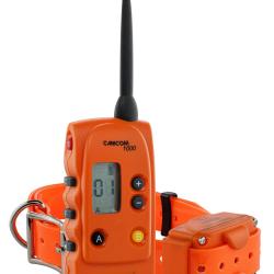 NUM'AXES - Ensemble de dressage CANICOM 1000 orange