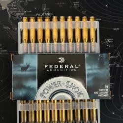 BALLE 243 WIN. FEDERAL 100 GRAIN SOFT POINT
