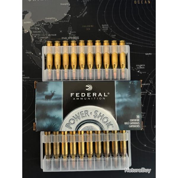 BALLE 243 WIN. FEDERAL 100 GRAIN SOFT POINT