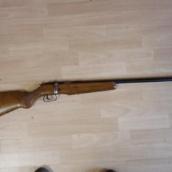 carabine 22