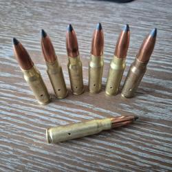 lot de 7 munitions chasse 308 Win. ou 7.62 OTAN