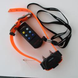 collier de dressage chien d'arr&ecirc;t