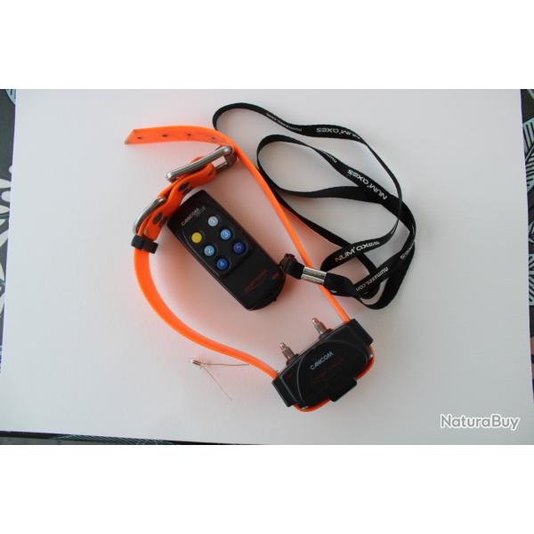 collier de dressage chien d'arr�t
