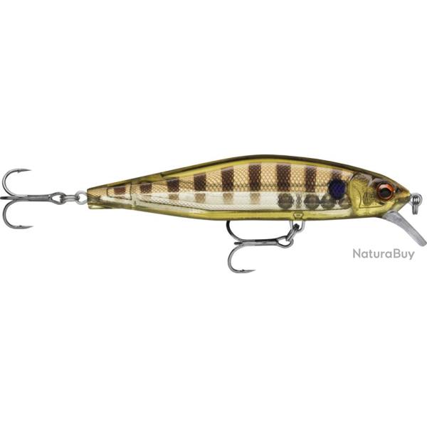 Poisson nageur RAPALA Precision xtreme air boss 100 GGIU