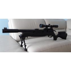 Carabine Gamo Arrow PCP 5.5mm