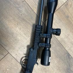 Carabine chiappa Little badger 17 hmr + bushnell 10x40