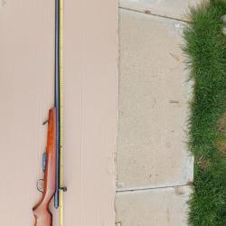 marlin goose gun