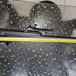 Carabine &agrave; verrou savage M25