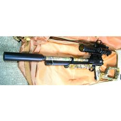 Combo Pistolet / carabine PCP CROSMAN Benjamin Marauder  Woods Walker