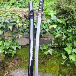 Sabre Katana De C&eacute;r&eacute;monie Lame Acier 440 Tsuba M&eacute;tal Manche Fa&ccedil;on Peau de Raie Etui Bois Dragon