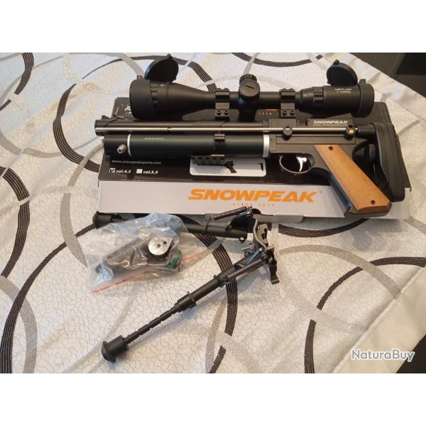 Pistolet carabine pcp Art�mis pp750