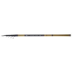 CANNE DAIWA EXCELER T 50 R 4.80m TELEREGLABLE