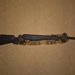 Carabine a plomb