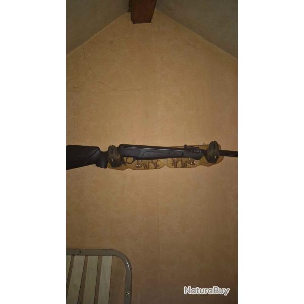 Carabine a plomb