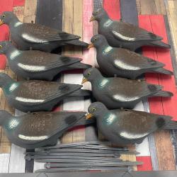 Vends lot Appelants Palombes