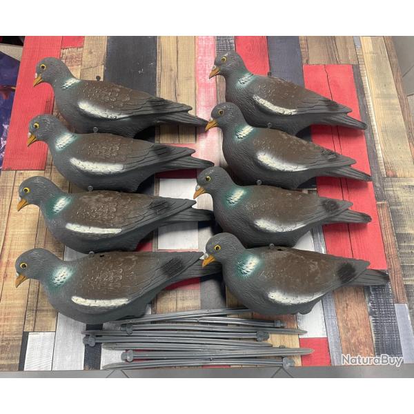 Vends lot Appelants Palombes